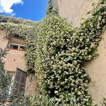 아파트 La Maison Boheme *